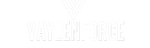 VaylenForce